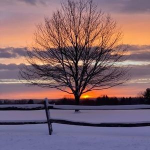 Meet your Posher, Rayette